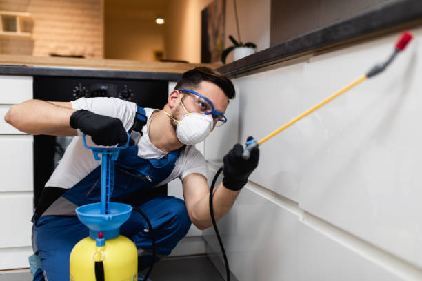Best Best Pest Control Companies  in Bear Rocks, PA
