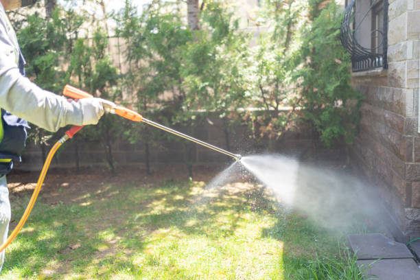 Best Pest Removal Services  in Bear Rocks, PA