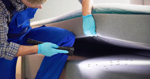 Best Affordable Pest Control Services  in Bear Rocks, PA